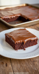 texas-chocolate-sheet-cake-cake-from-the-food-charlatan_feature